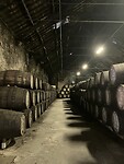 Port excursie