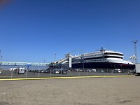 IMG_9518