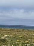 IMG_9507