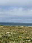 IMG_9506