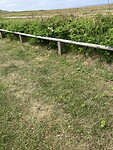 IMG_9503