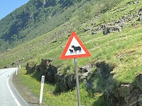 Gevaar op de weg