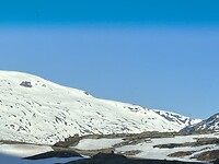 IMG_9798