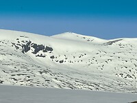 IMG_9799