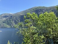 IMG_9981