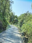IMG_9988