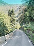 IMG_9993