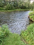 IMG_9996