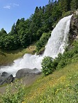 IMG_0015
