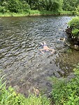 IMG_0037