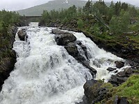 IMG_0066