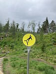 IMG_0070