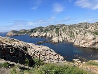 IMG_0199