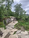 IMG_0153