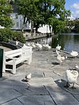IMG_0162
