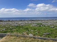 IMG_0175