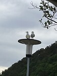 IMG_0190