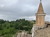 IMG_0831