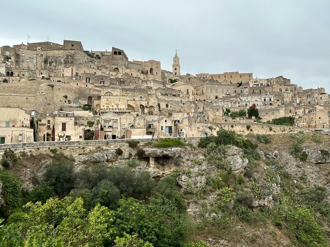 Sassi