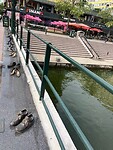 IMG_1976