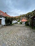 IMG_0716