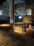 IMG_0729