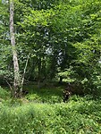 IMG_0731