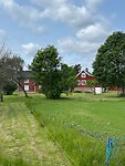 IMG_0785
