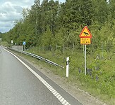 IMG_0182