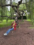 IMG_0818