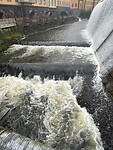 IMG_0830