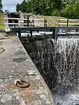 IMG_1001