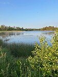 IMG_1037