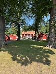 IMG_1075