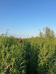 IMG_1118