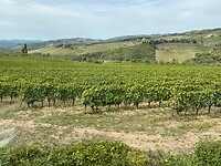 Van Florence naar Senna door de Chianti