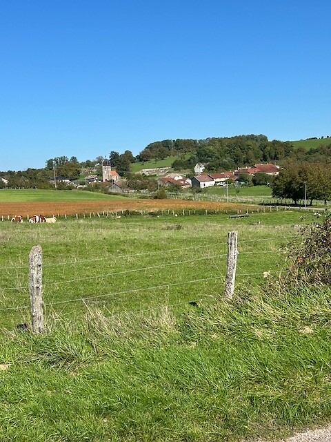 Uitzicht camping La Jonquille