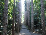 13-8 Paronella Park (115)