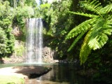 Millaa Millaa Falls