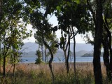 Moerasland