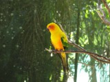 Vogelparadijs
