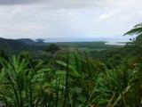 Uitzicht over Cape Tribulation