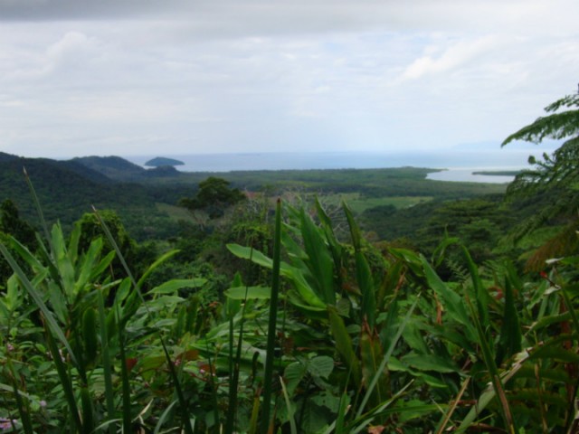 Uitzicht over Cape Tribulation