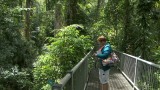 Daintree Discovery Centre