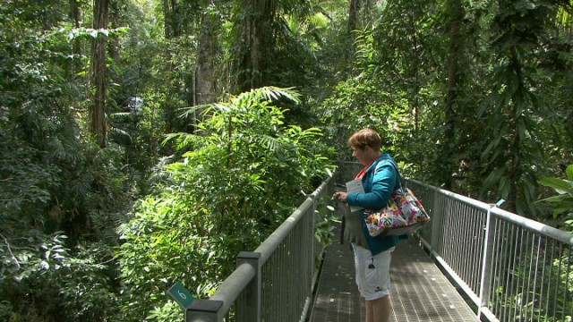 Daintree Discovery Centre