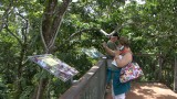 Daintree Discovery Centre