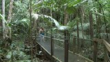 Daintree Discovery Centre