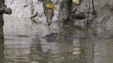 DSC01363
