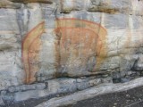 Rainbowserpent