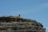 Ger on top of the world
